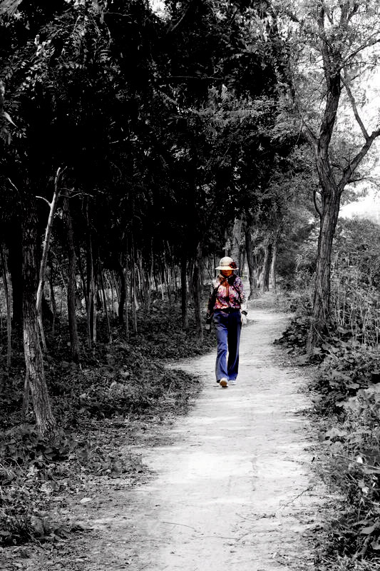 IMG_6218 - ����.jpg