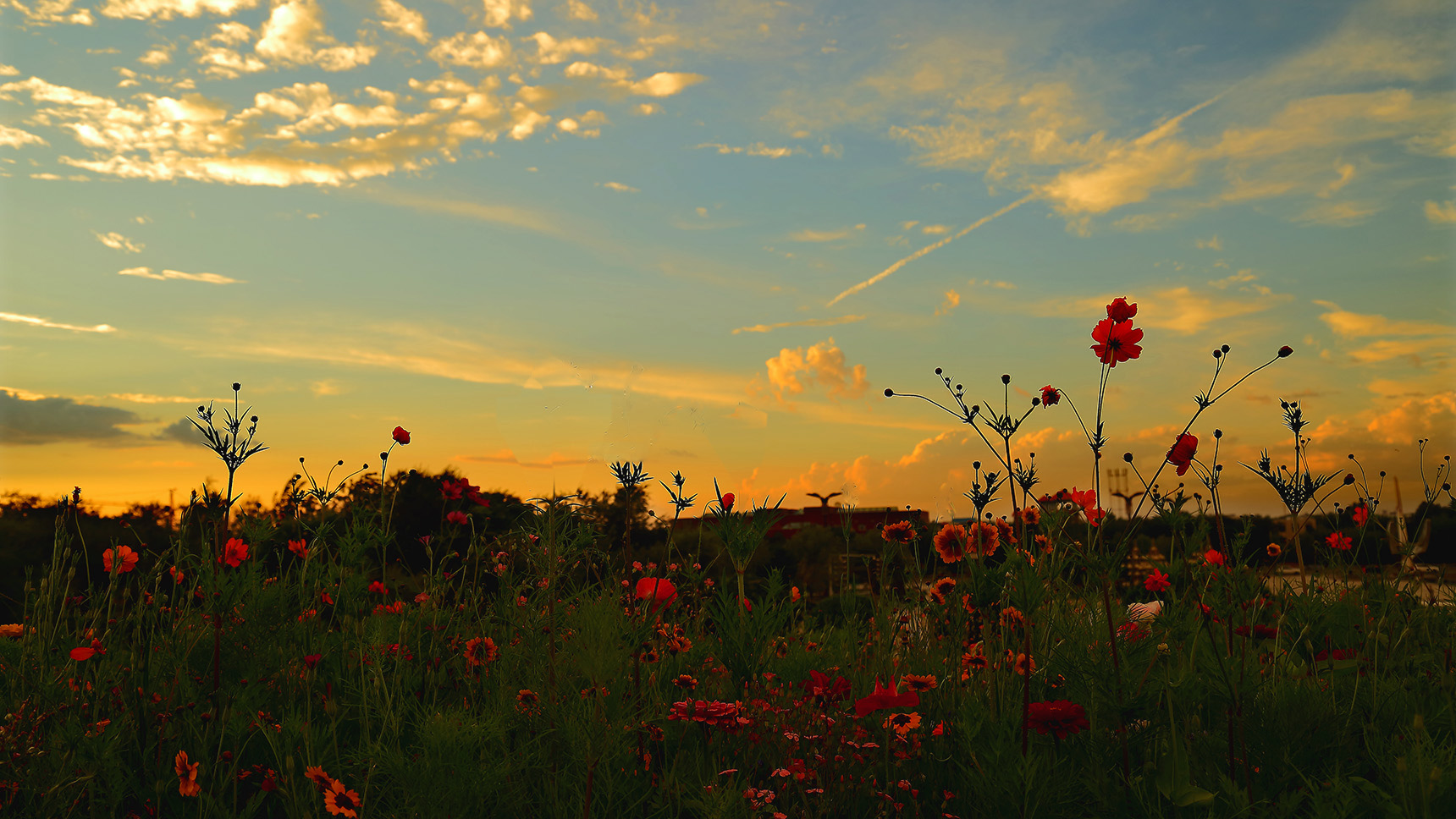 ��ϼ��ϰ (1).jpg