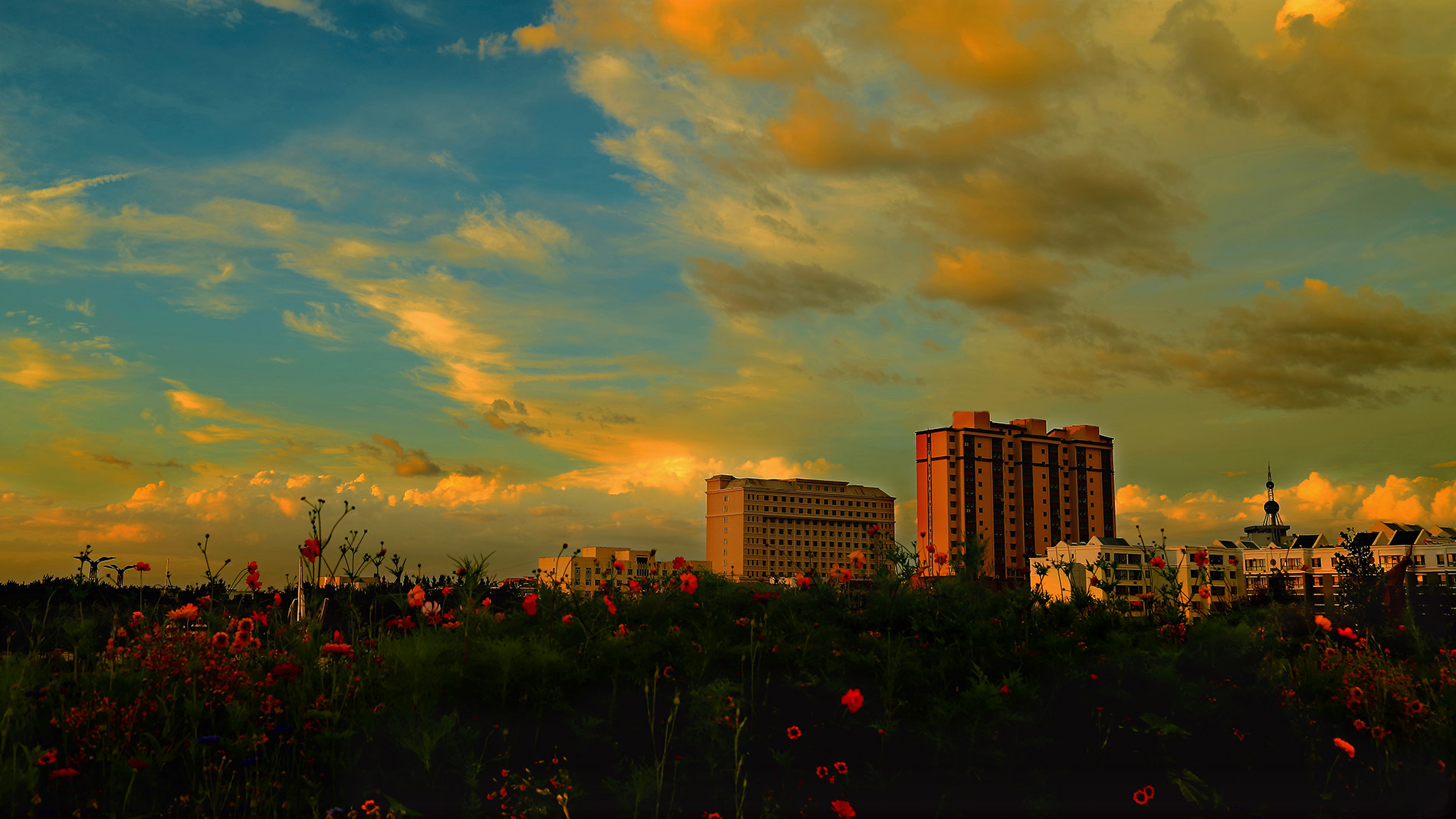 ��ϼ��ϰ (2).jpg