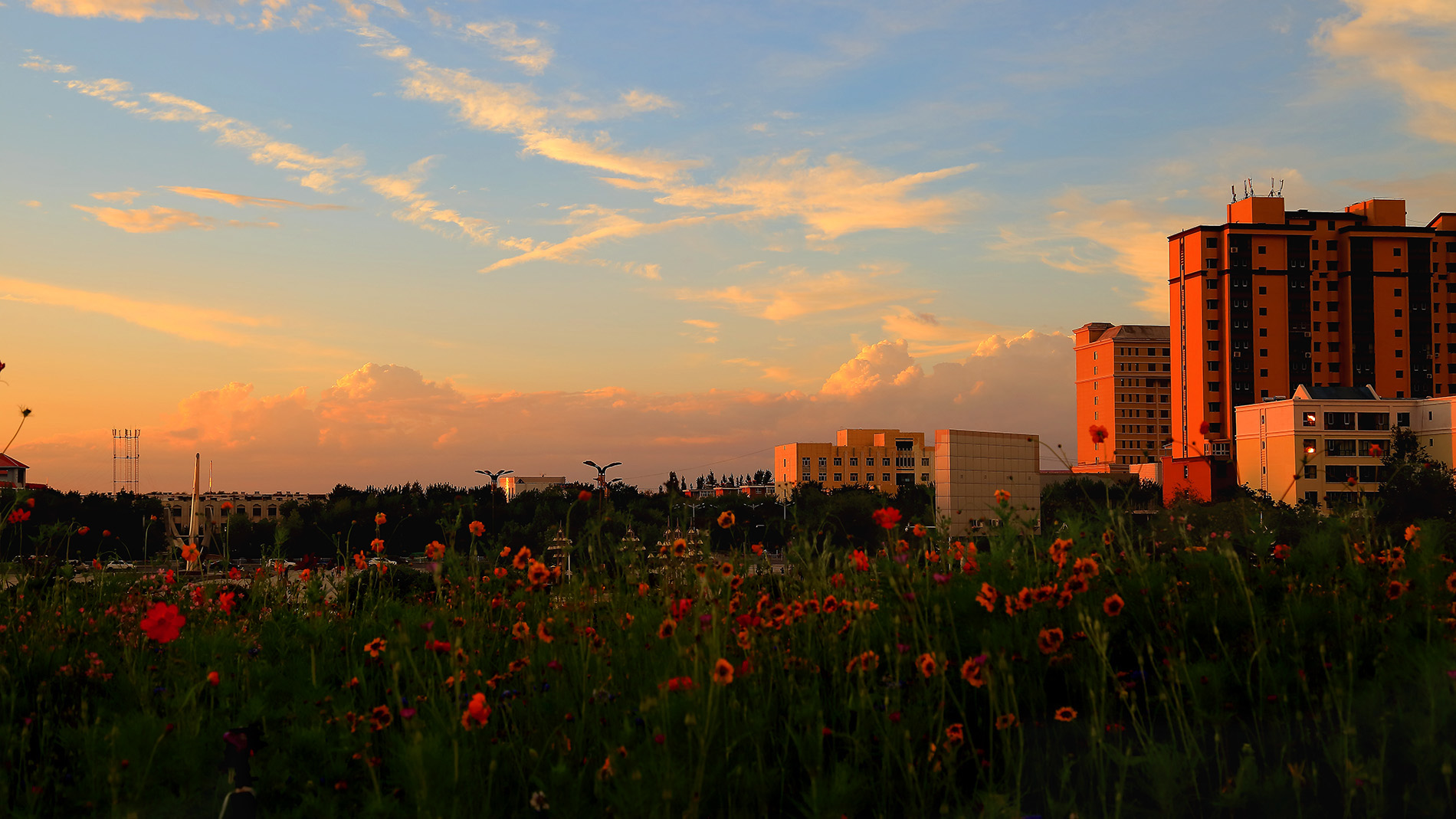 ��ϼ��ϰ (4).jpg