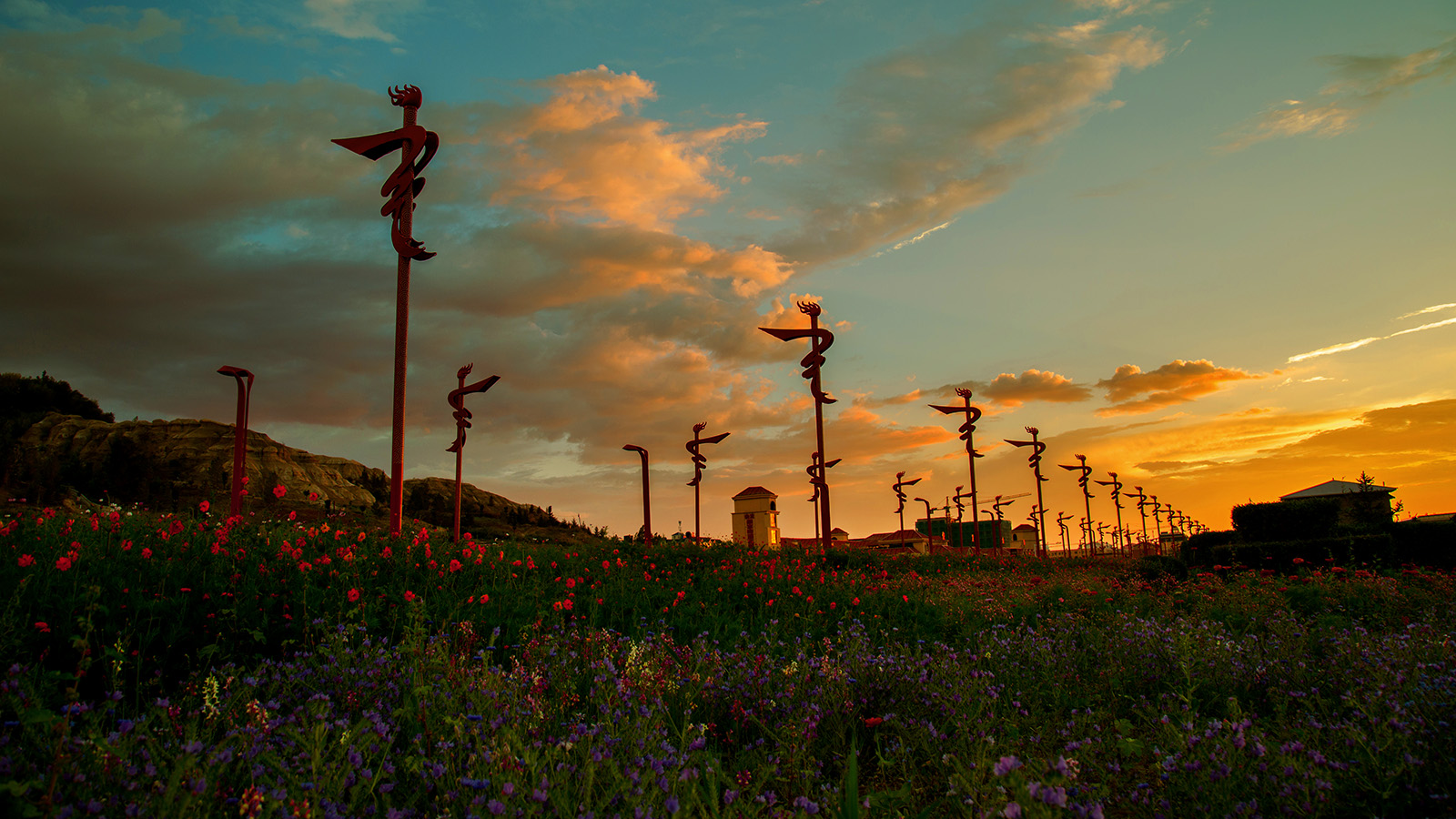 ��ϼ��ϰ (5).jpg