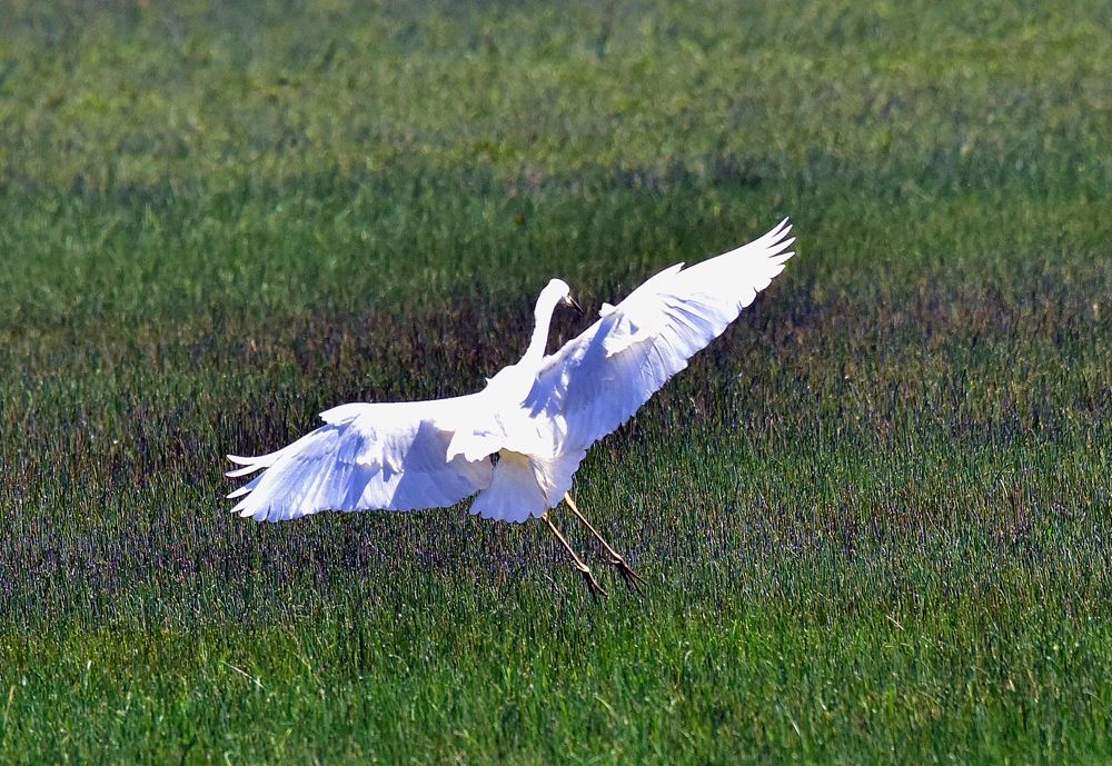 ��Ƭ��԰���� 052_����.jpg