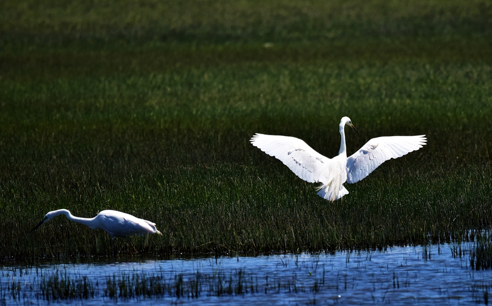 ��Ƭ��԰���� 113_����.jpg