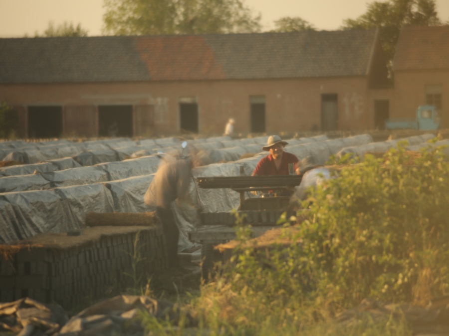 ����-----����