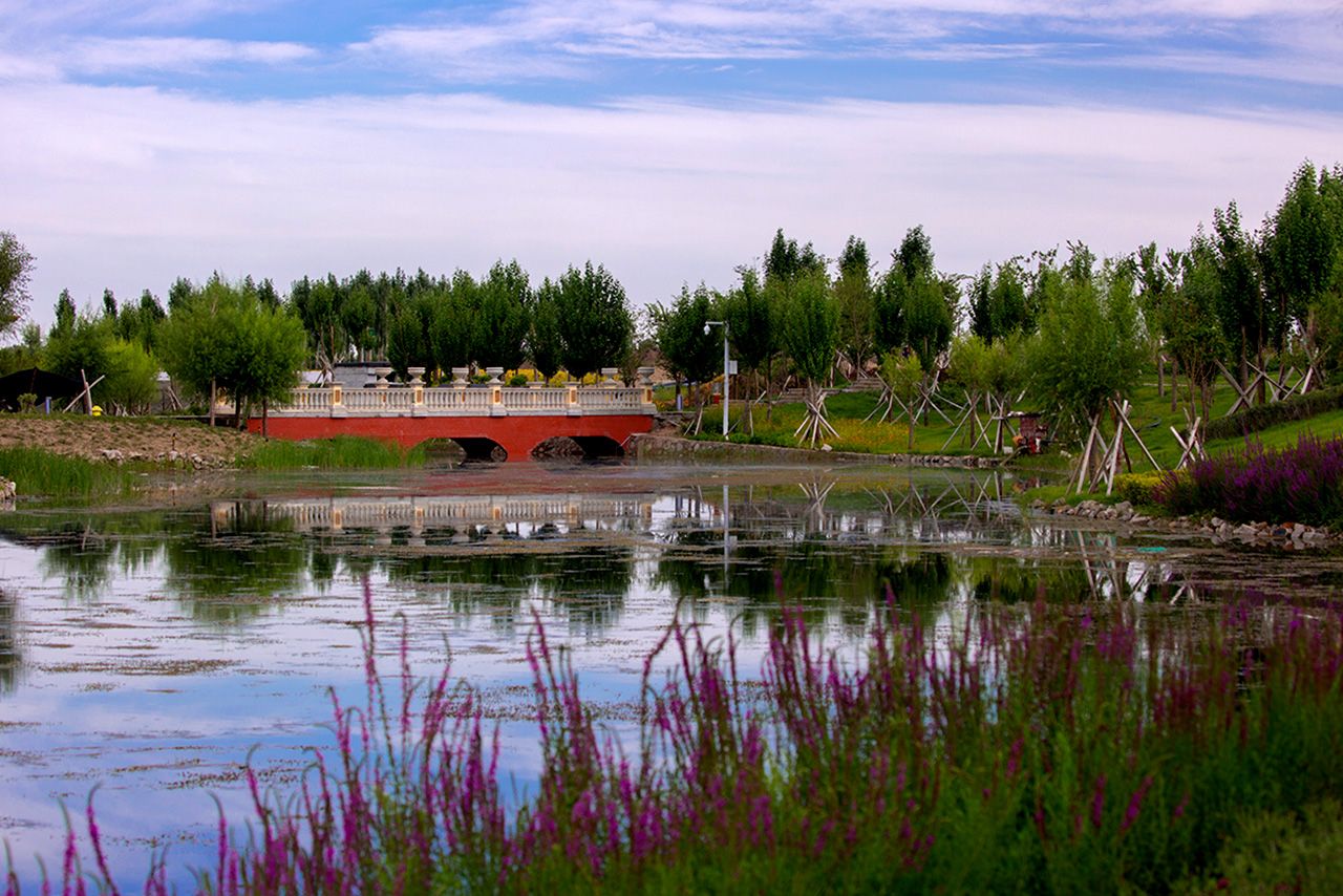 ������� (3).jpg