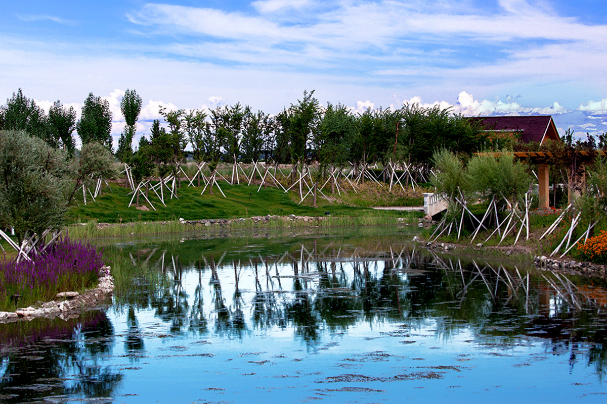 ������� (7).jpg