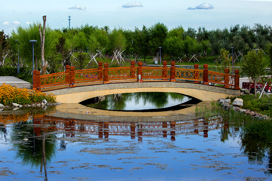 ������� (8).jpg