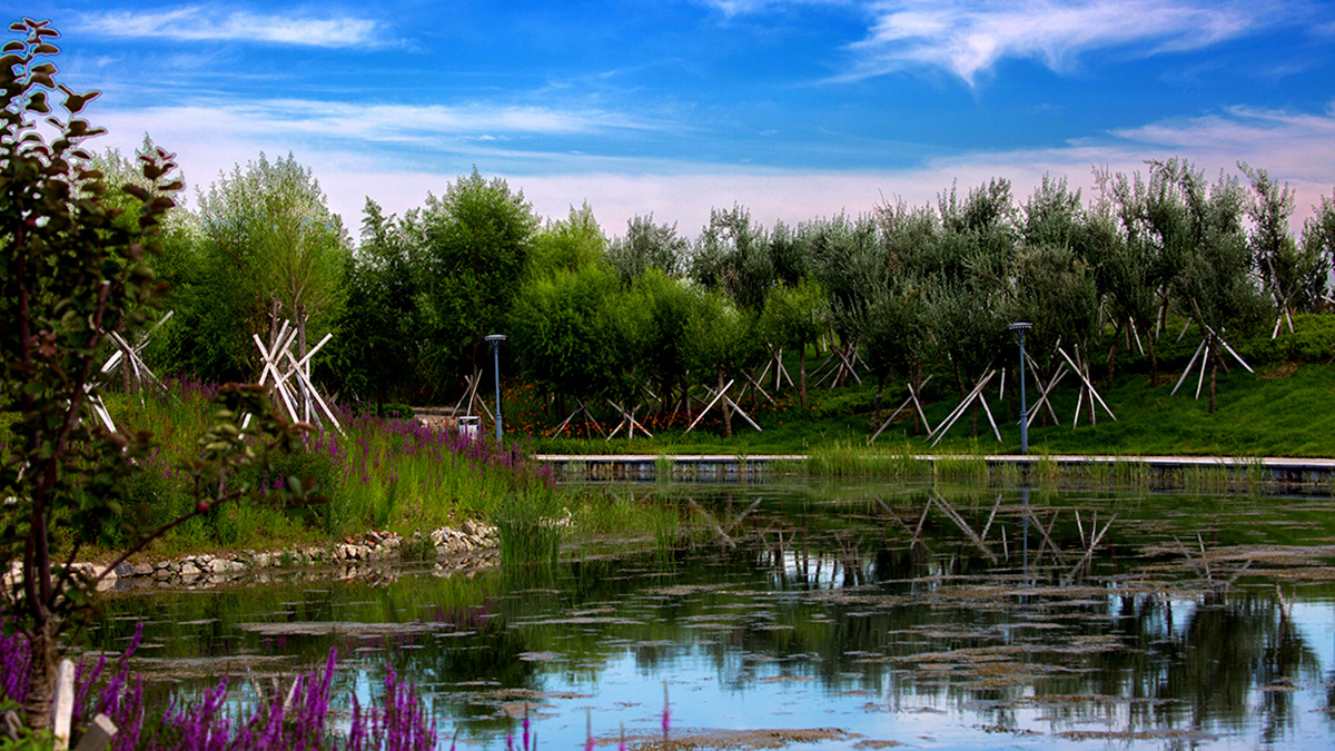 ������� (9).jpg