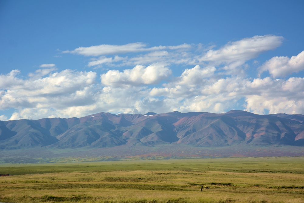 ������ 201_����.jpg