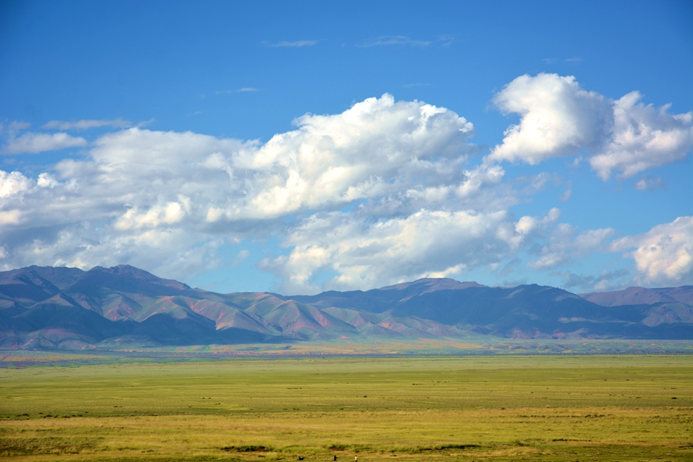 ������ 203_����.jpg