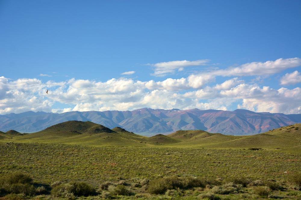 ������ 207_����.jpg