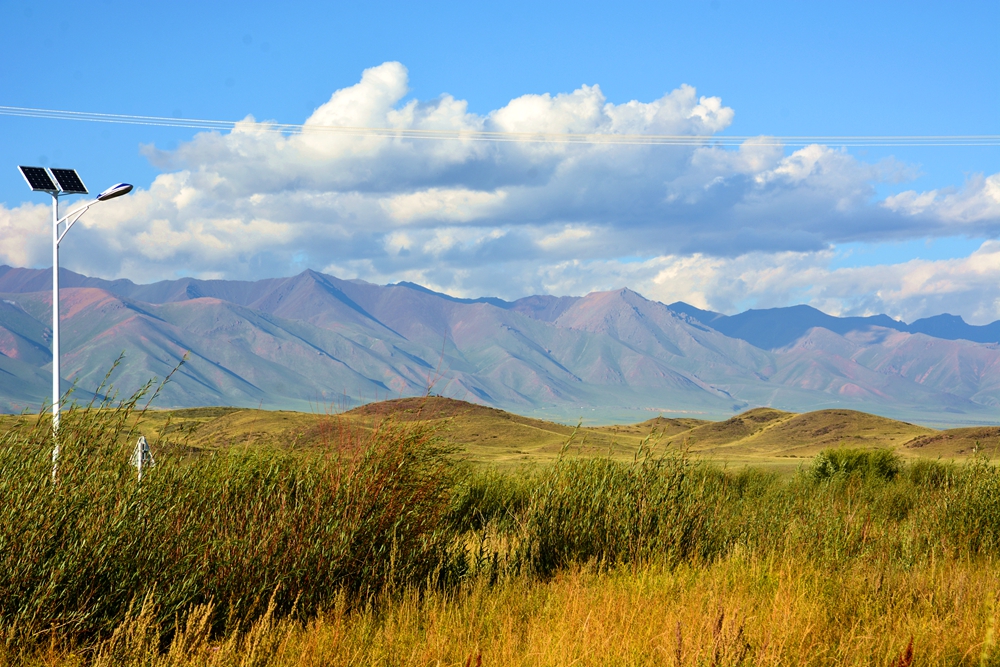 ������ 217_����.jpg