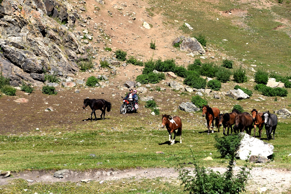 ������.�� 715_����.jpg