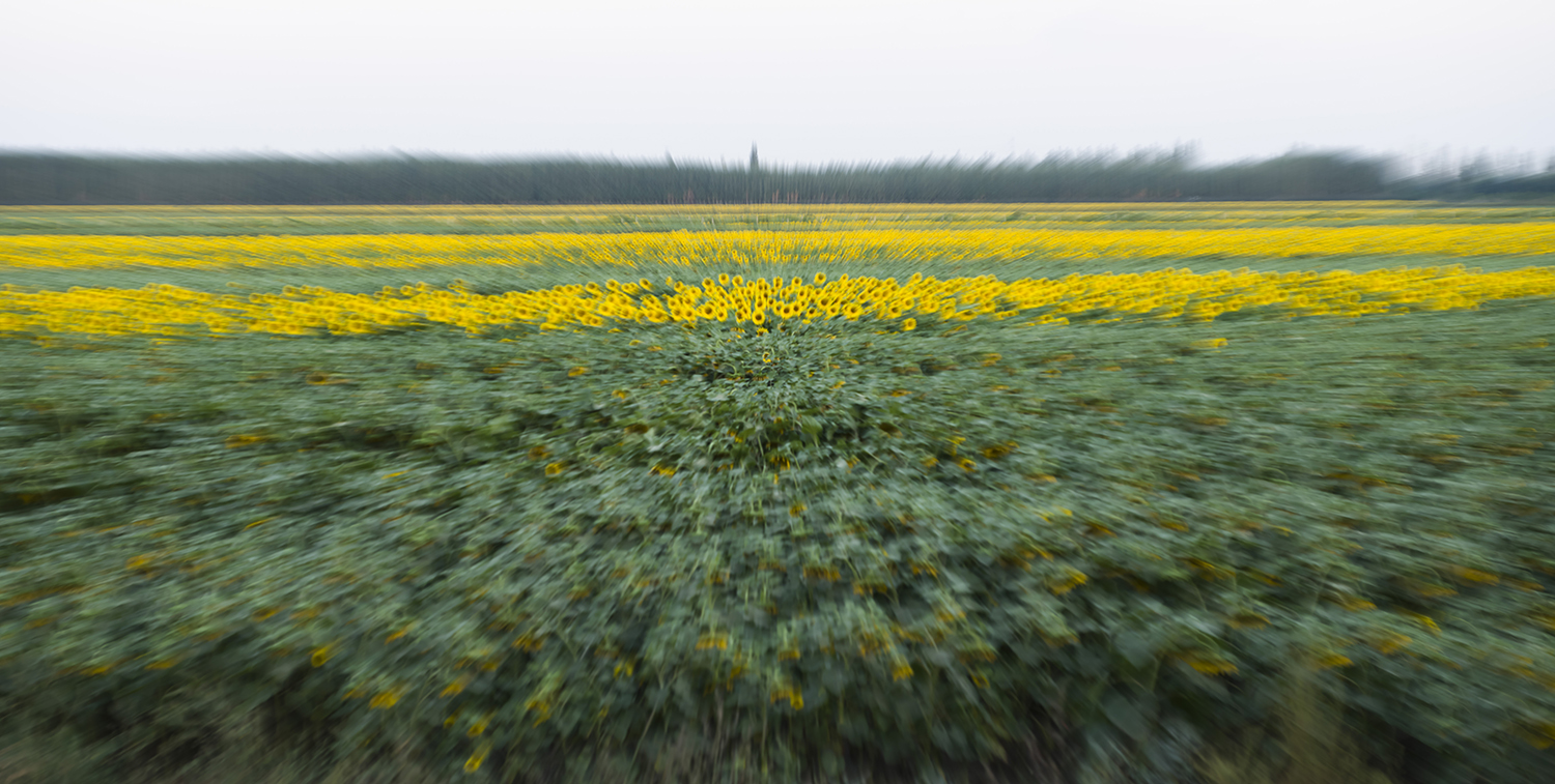 ��â����ġ�̫����