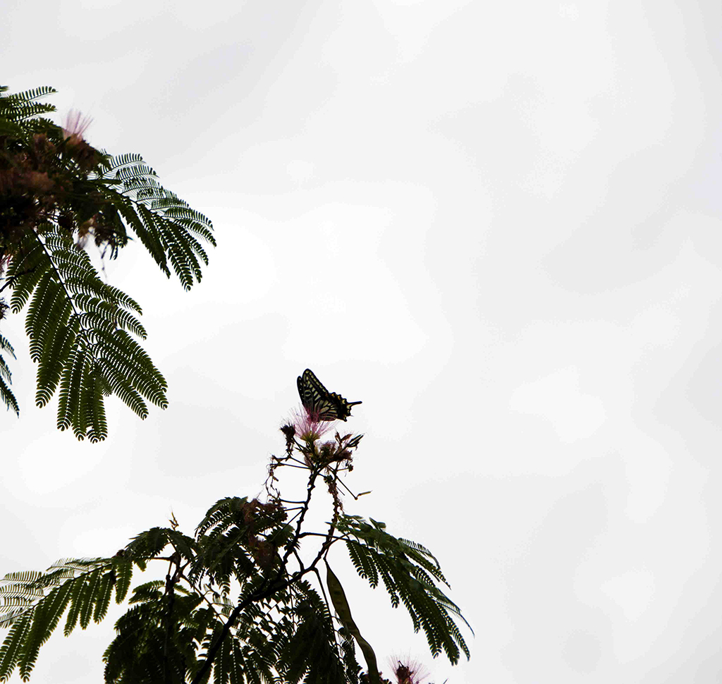 ���۵�ʹ��----