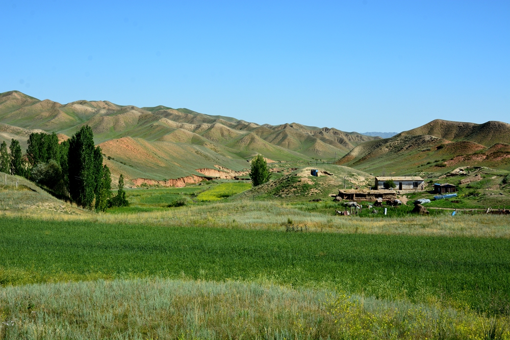 ʯ������ 005_����.jpg