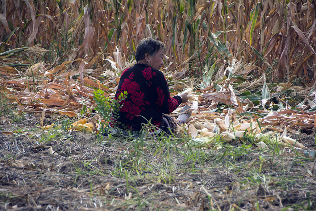 ��������......