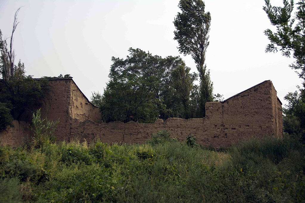 ������ʧ�Ľ���ũ�����2