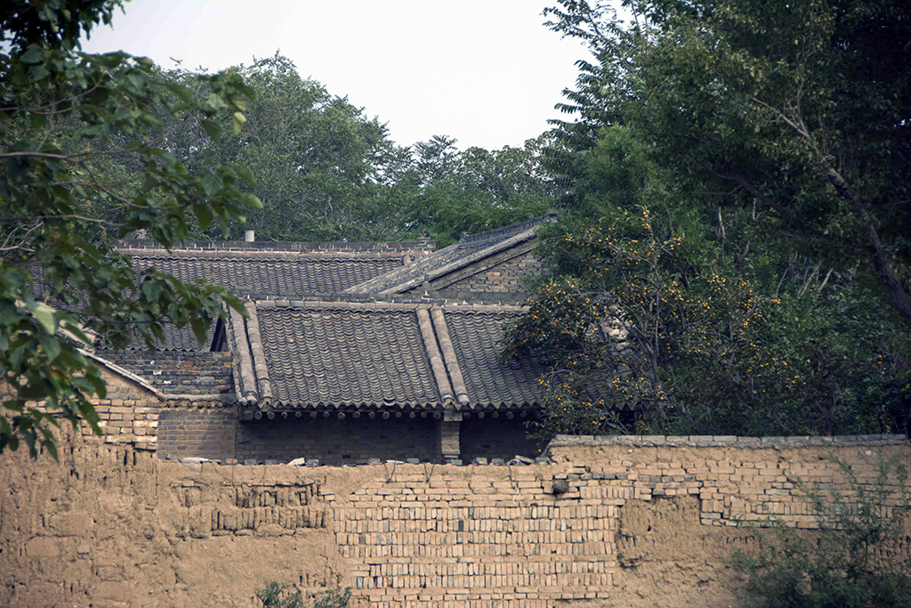 ������ʧ�Ľ���ũ�����3