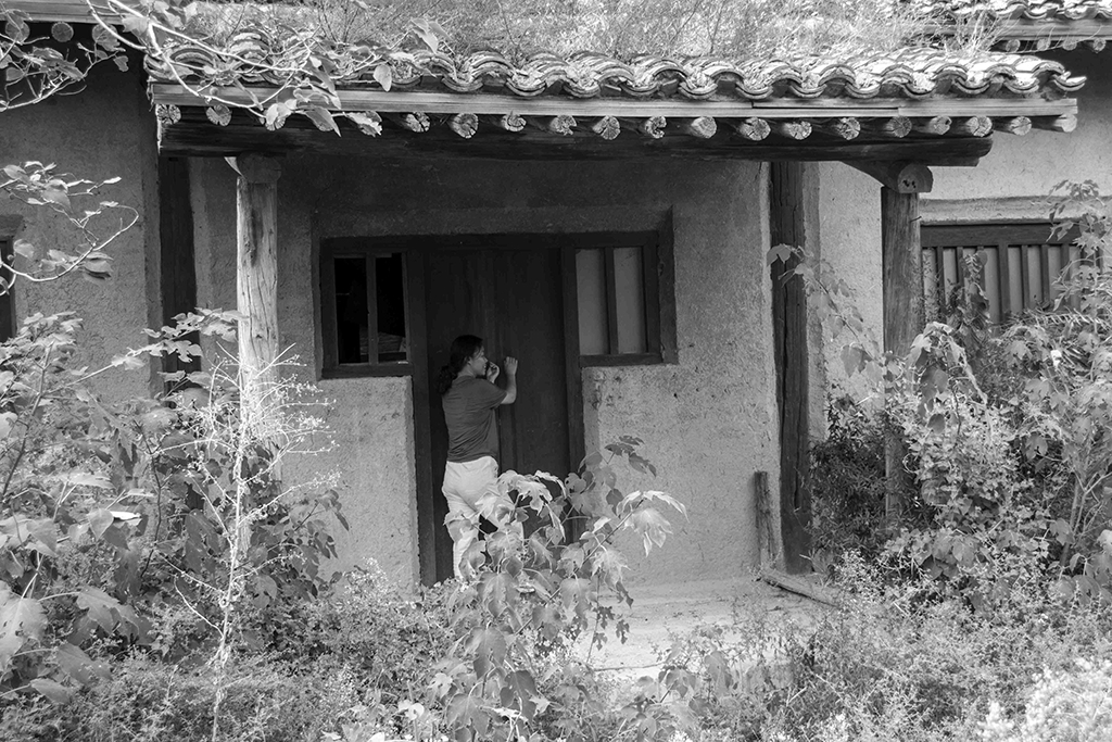 ������ʧ�Ľ���ũ�����4