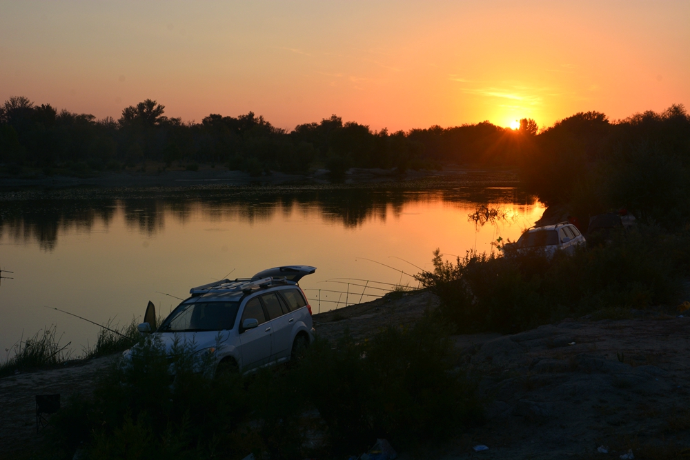 ��� 100_����.jpg