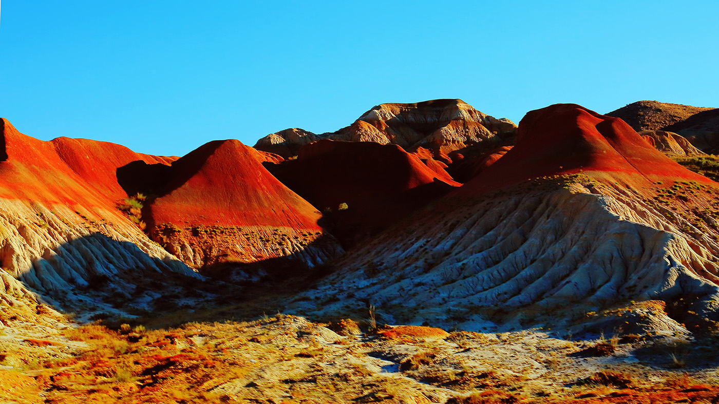 ���Գ��� (3).jpg