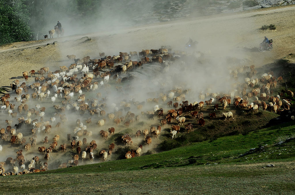 ת��2  ������  13899523109.JPG