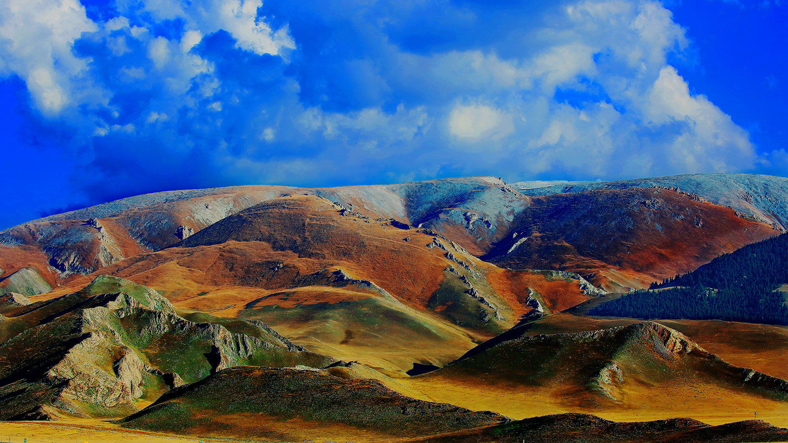 ����ľ�� (1).jpg