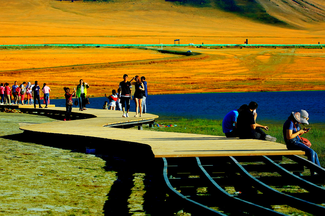 ����ľ�� (4).jpg