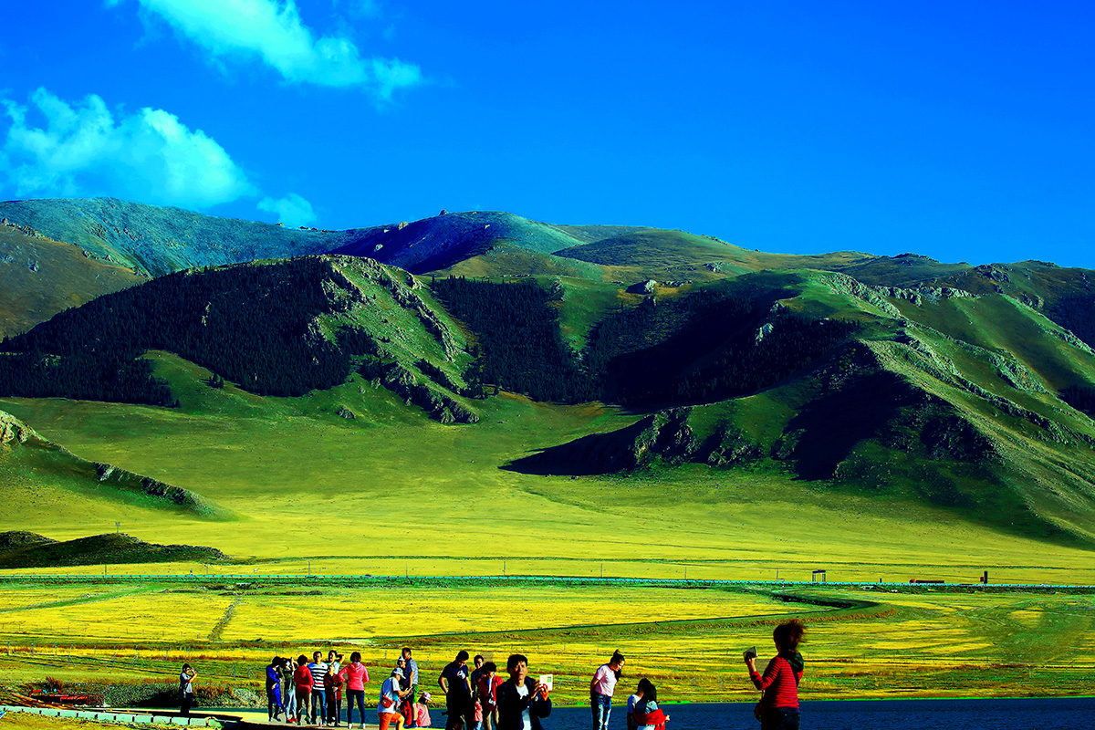 ����ľ�� (5).jpg