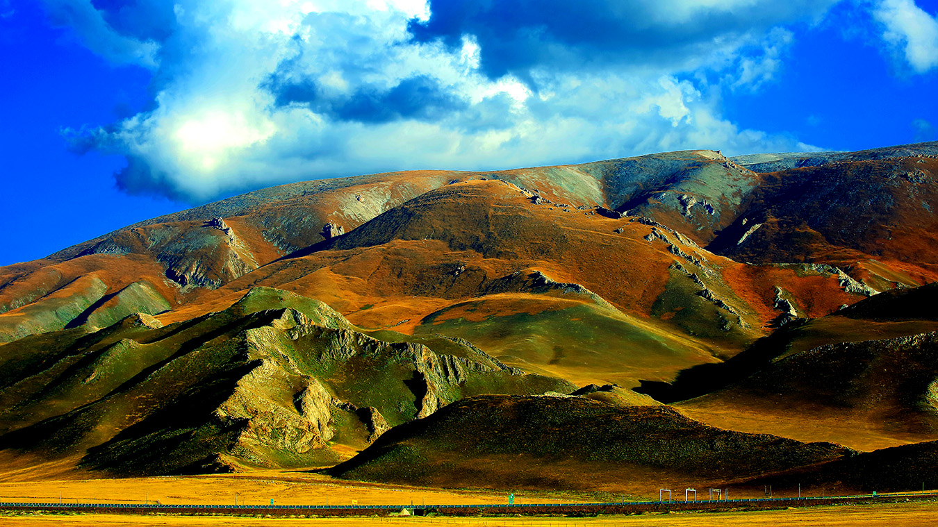 ����ľ�� (7).jpg