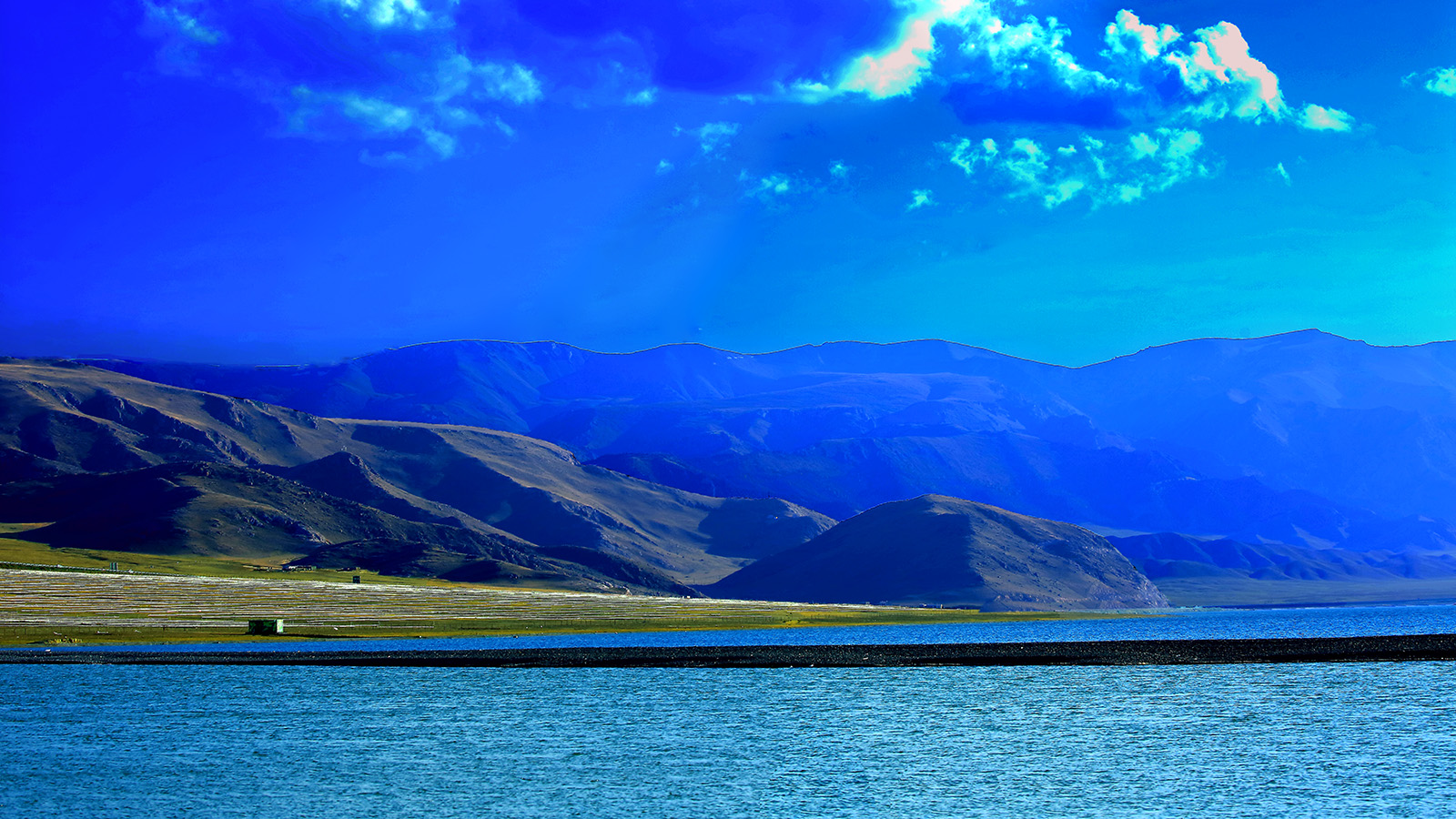 ����ľ�� (6).jpg