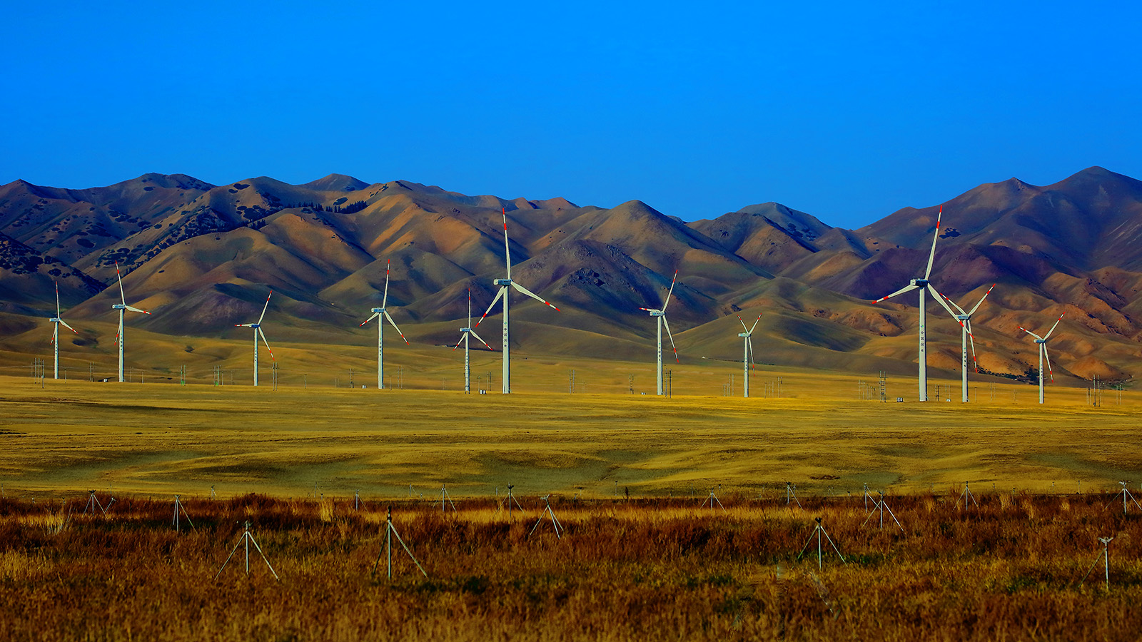 ����ľ�� (2).jpg