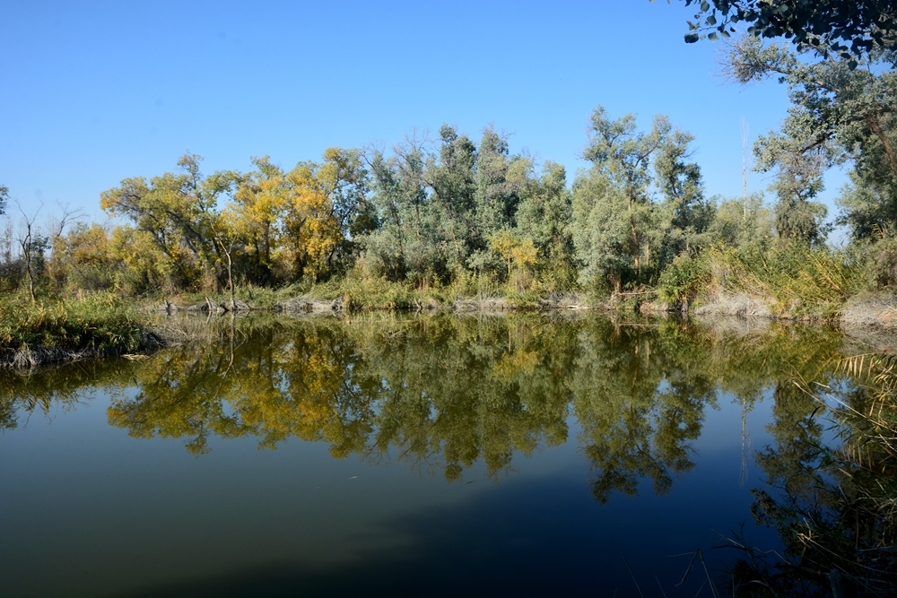 ��ľ���̲ 1766_����.jpg