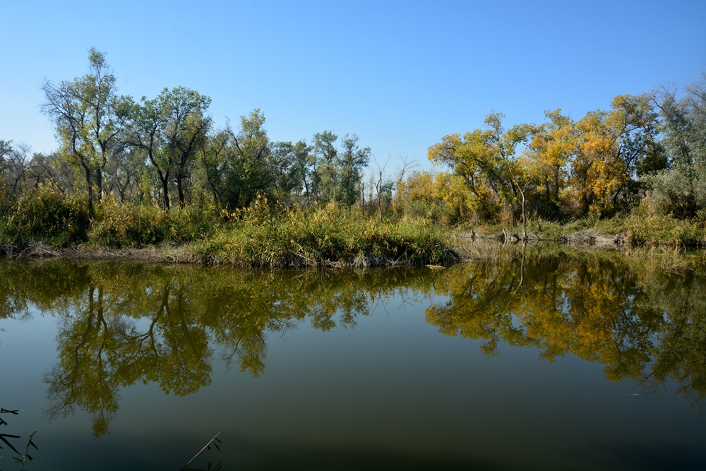 ��ľ���̲ 1769_����.jpg