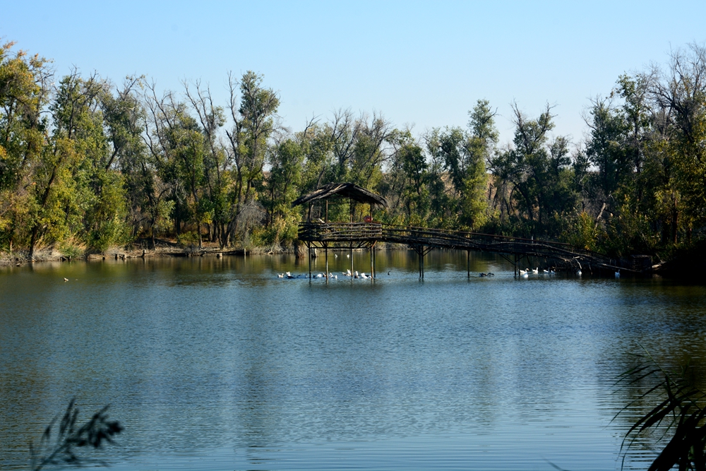 ��ľ���̲ 1770_����.jpg