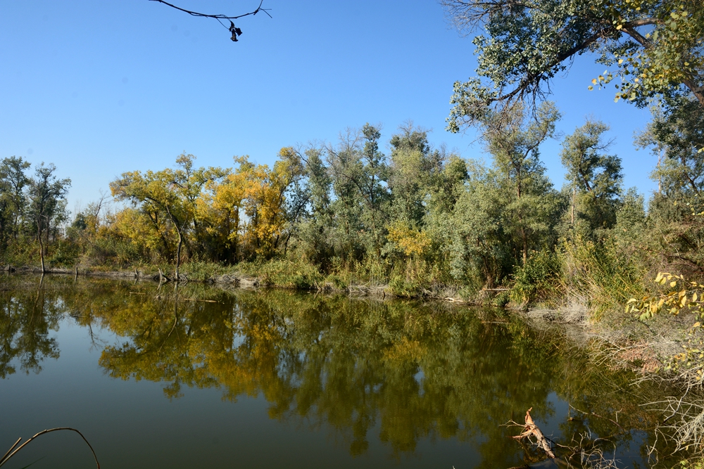 ��ľ���̲ 1773_����.jpg