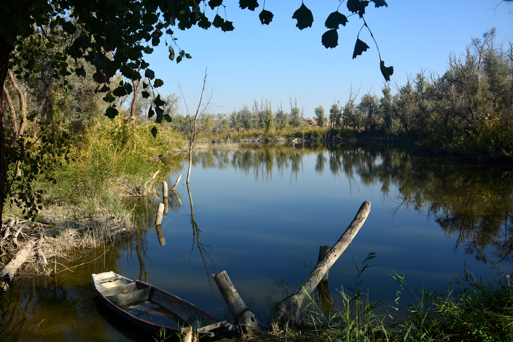 ��ľ���̲ 1777_����.jpg