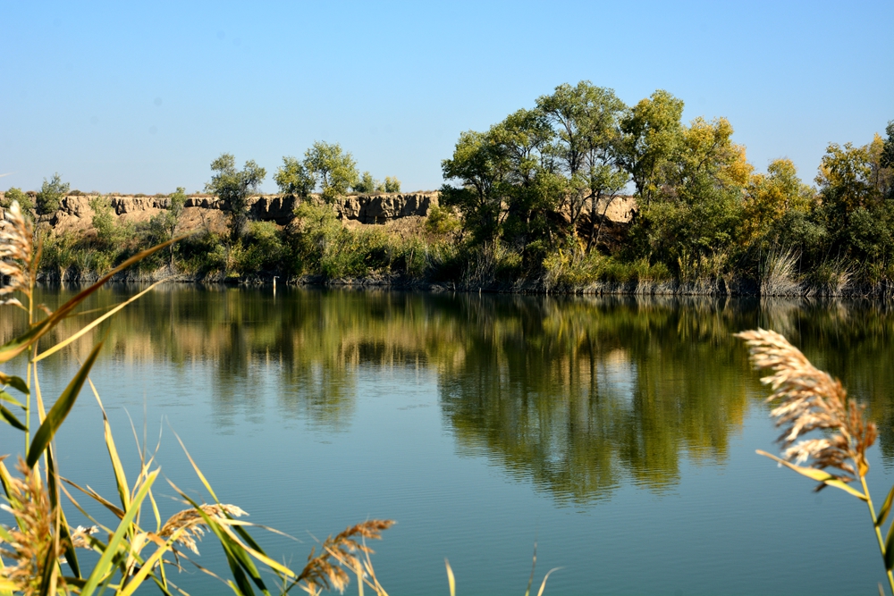 ��ľ���̲ 1838_����.jpg