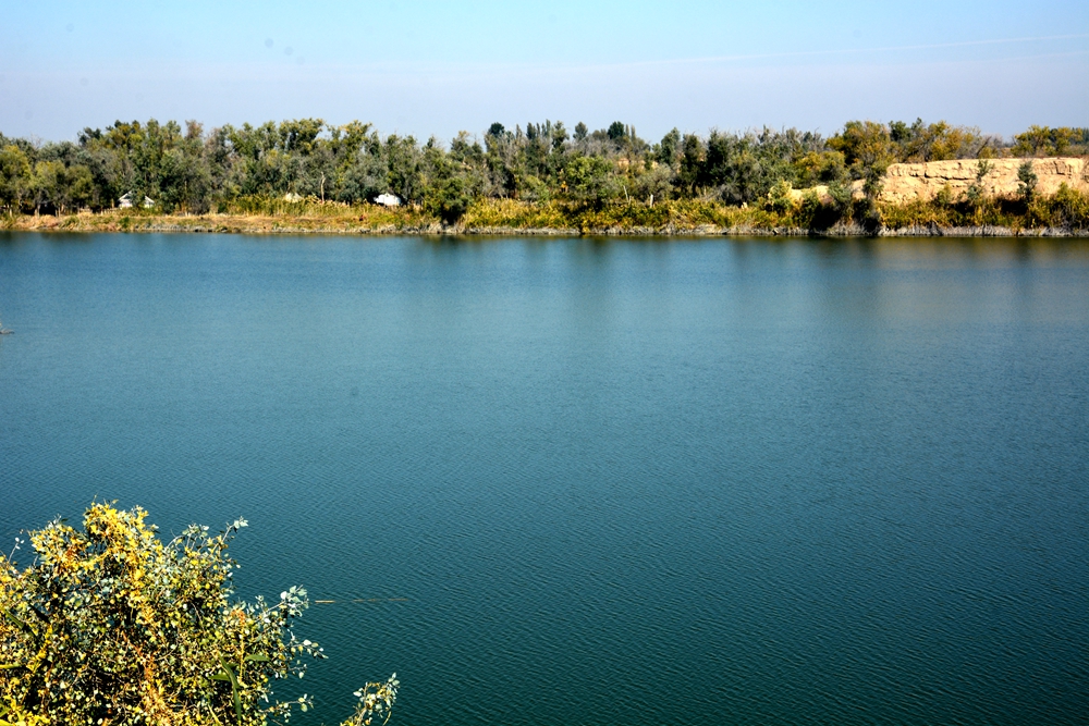 ��ľ���̲ 1847_����.jpg