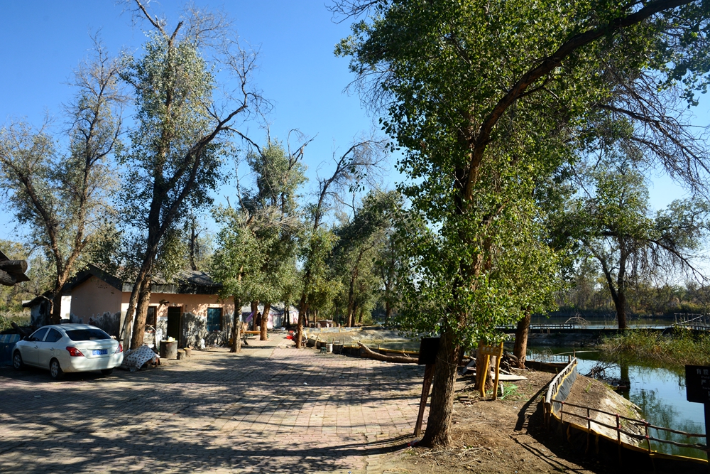 ��ľ���̲ 1854_����.jpg