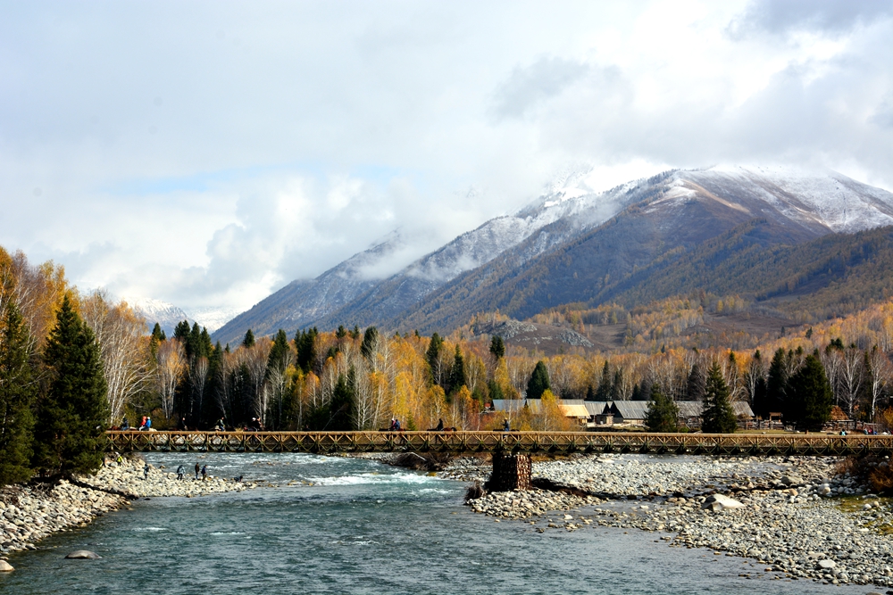 ��ľ���̲ 770_����.jpg