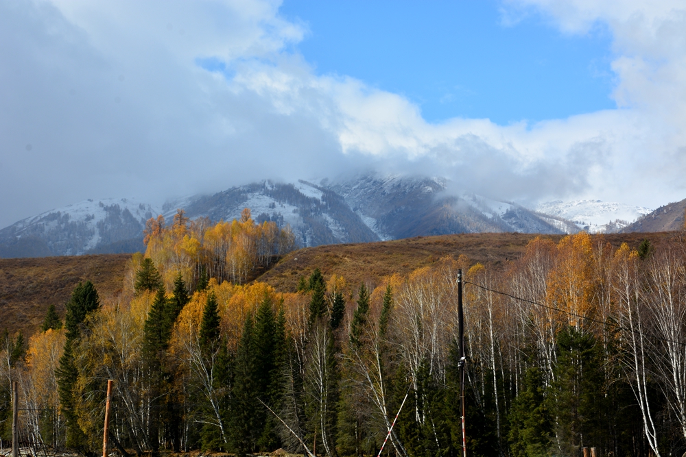 ��ľ���̲ 781_����.jpg