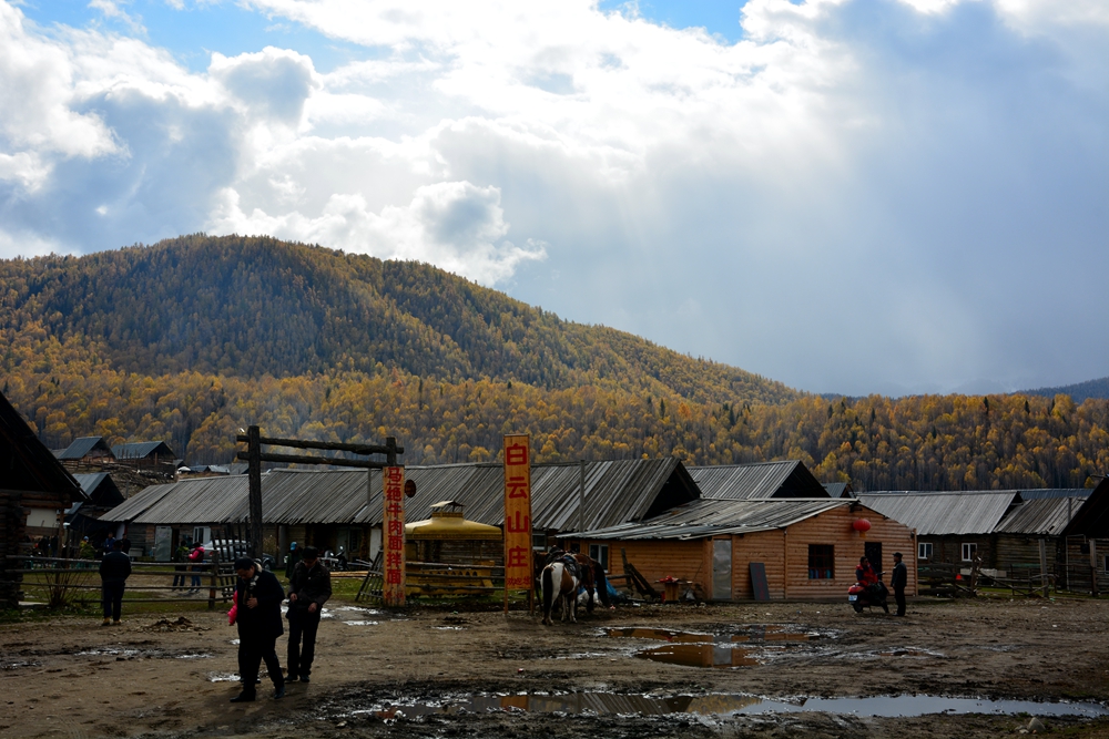 ��ľ���̲ 789_����.jpg