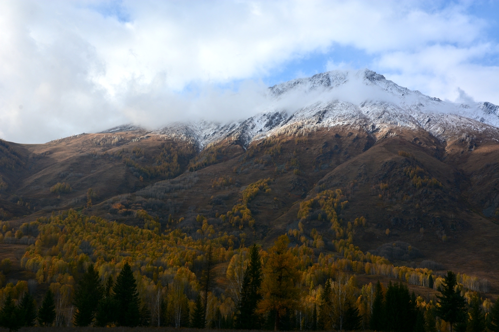 ��ľ���̲ 832_����.jpg