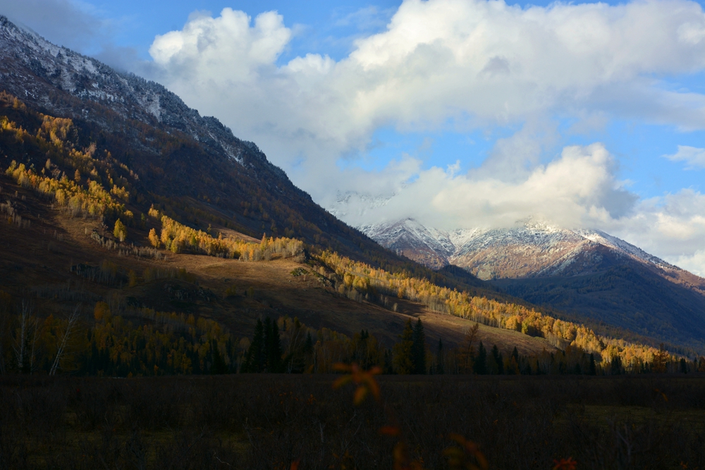 ��ľ���̲ 912_����.jpg