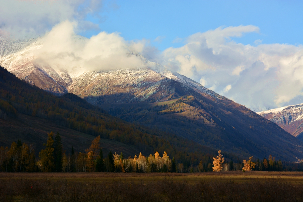 ��ľ���̲ 958_����.jpg