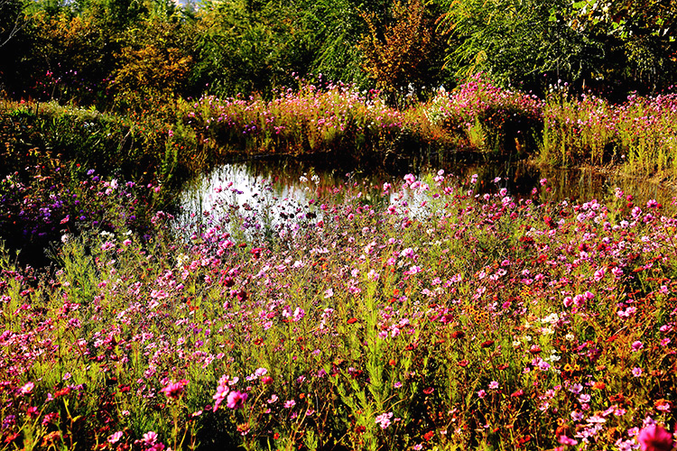 ̤����� (1).jpg