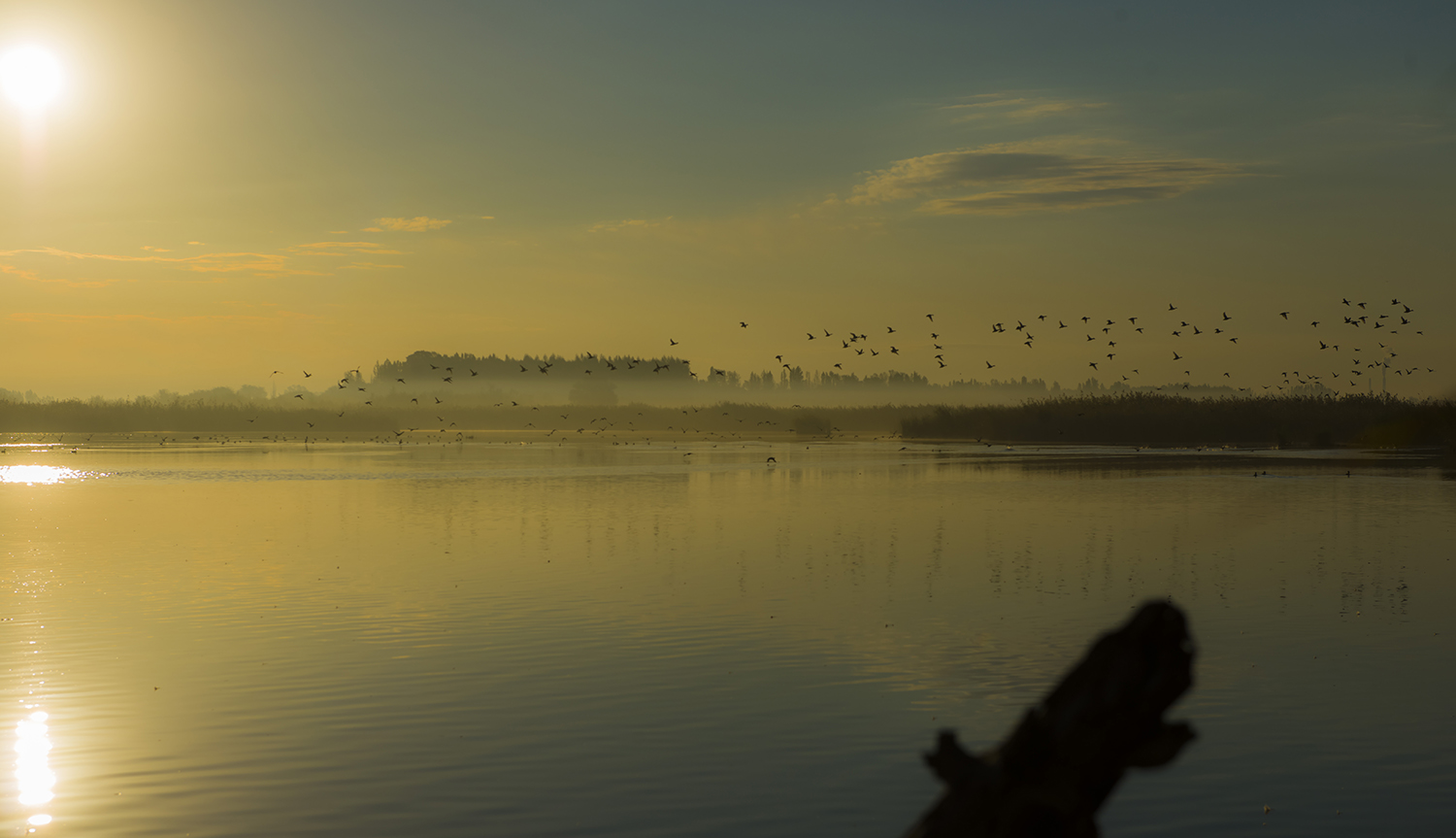 ���ڵ�ʪ��