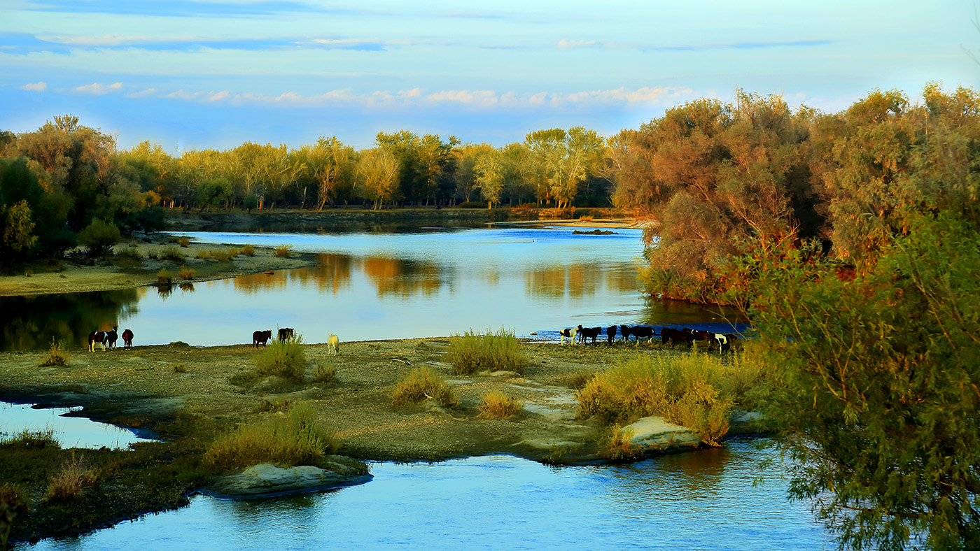 ������� (1).jpg